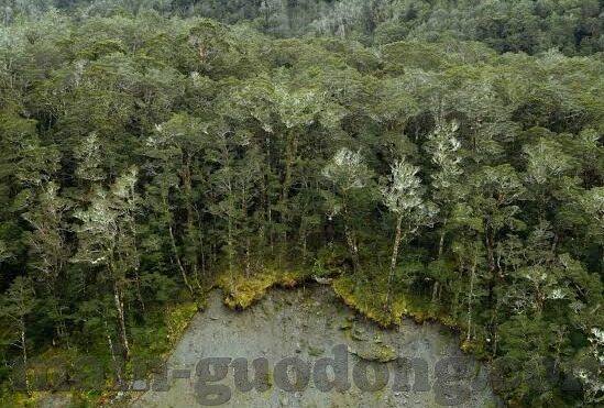 国产一区二区三区波多野结衣-国产一区二区三区波多野结衣，文化现象与网络迷思的探讨