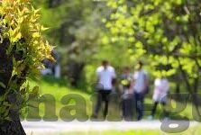 麻豆啊传媒app官网下载-以麻豆啊传媒App官网探索，深入了解数字媒体新平台为题的内容